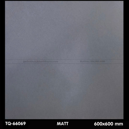 Gạch ốp lát 600×600 TQ - 66069 - Daisan Store