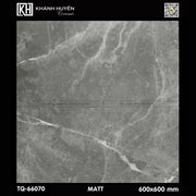 Gạch ốp lát 600×600 TQ - 66070 - Daisan Store
