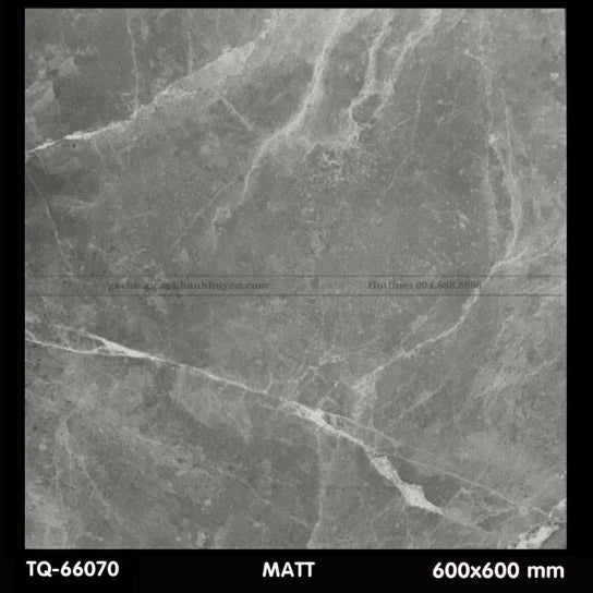 Gạch ốp lát 600×600 TQ - 66070 - Daisan Store