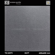 Gạch ốp lát 600×600 TQ - 66075 - Daisan Store