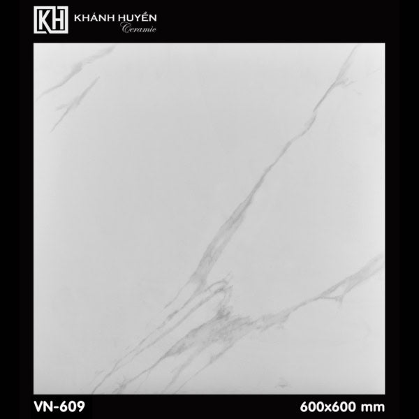 Gạch ốp lát 600×600 VN - 609 - Daisan Store