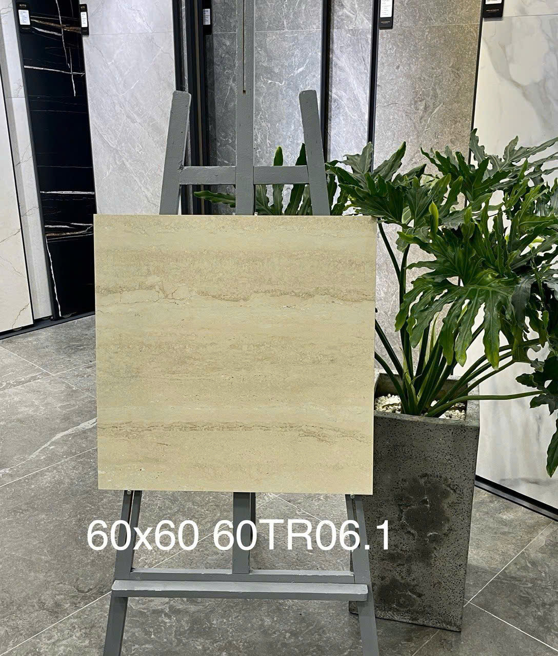 Gạch ốp lát 600x600 mã 60TR06 - Daisan Store