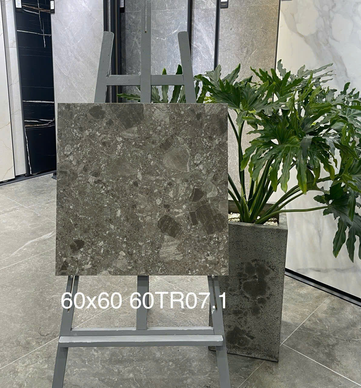 Gạch ốp lát 600x600 mã 60TR07 - Daisan Store