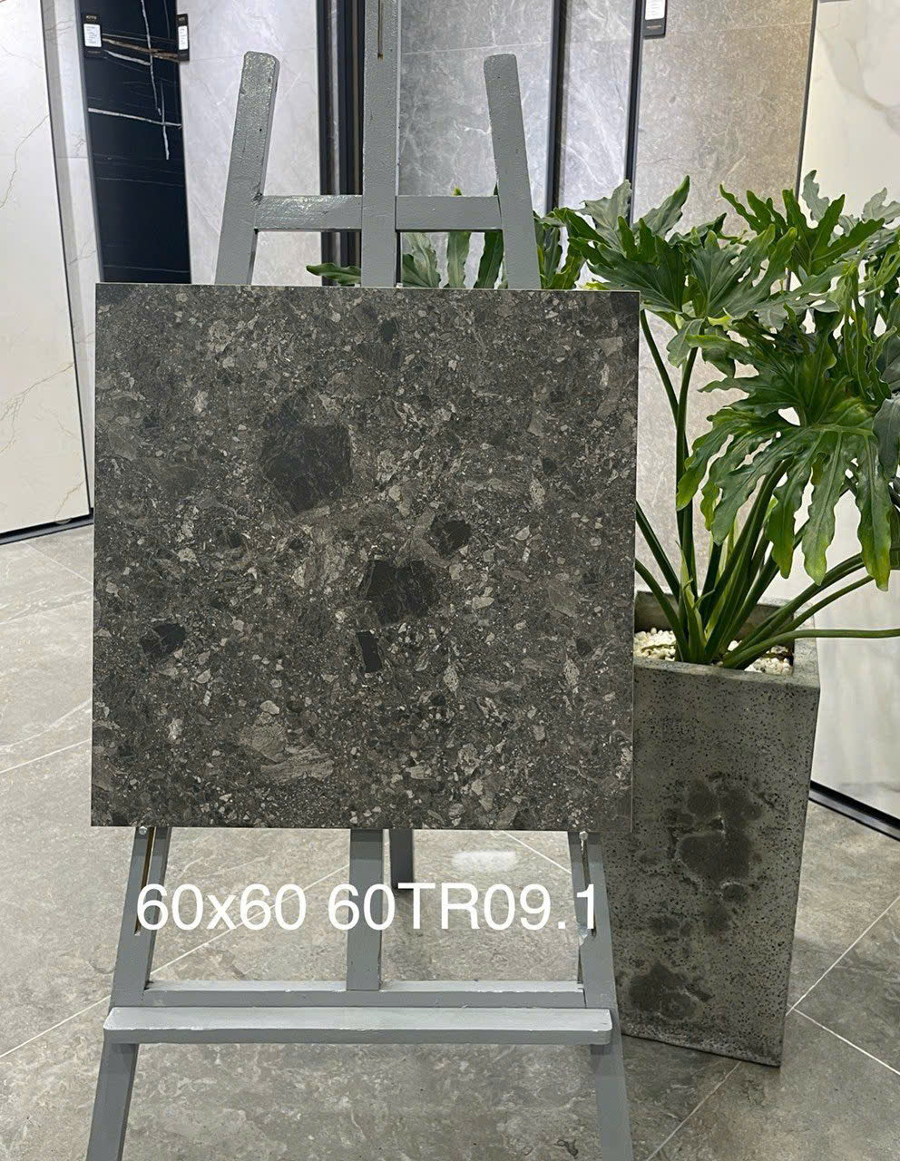 Gạch ốp lát 600x600 mã 60TR09 - Daisan Store