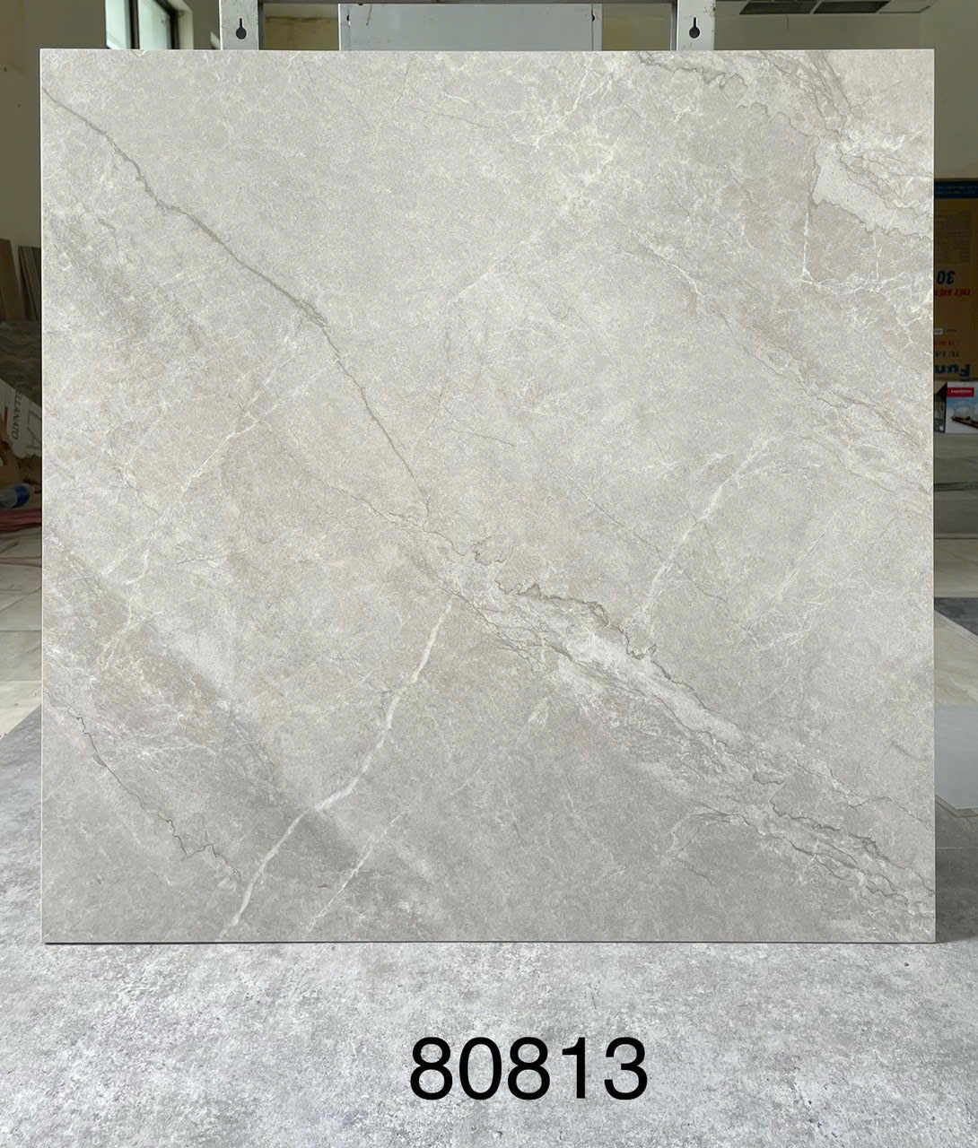Gạch ốp lát 600x600 mã 80813 - Daisan Store