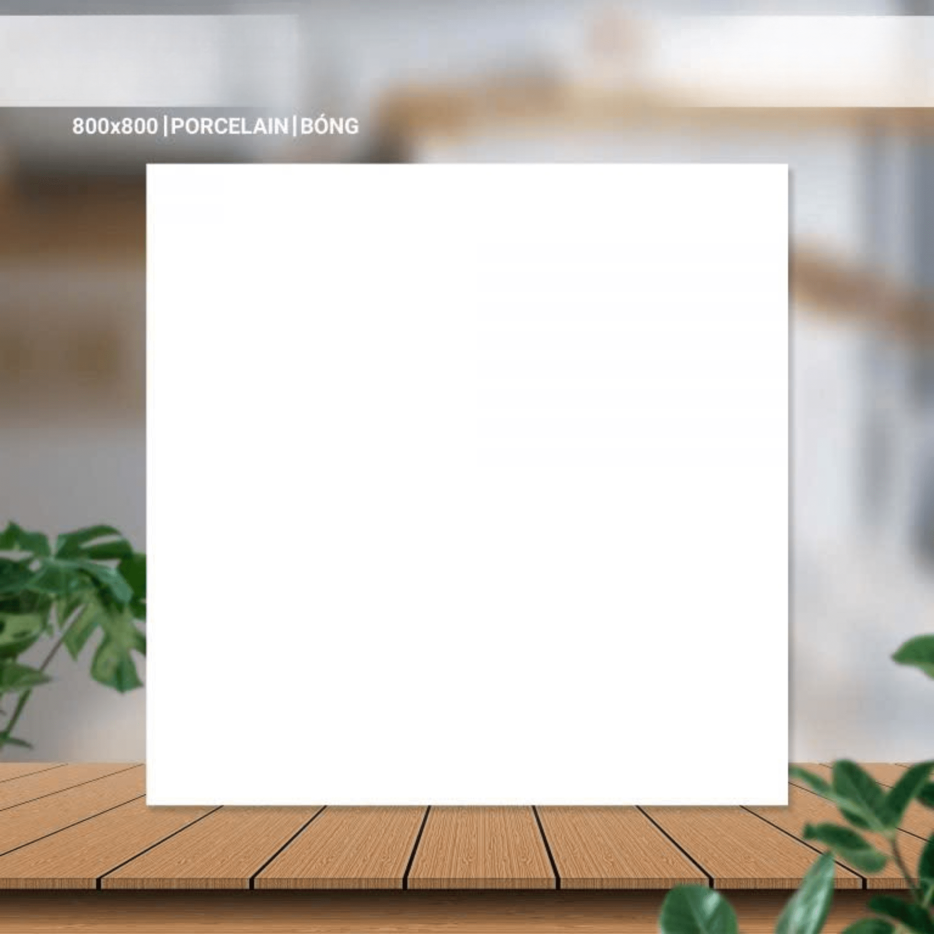 Gạch ốp lát 800x800mm mã 80030 - Daisan Store