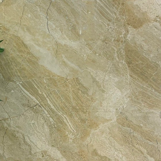 Gạch Ốp Lát 80×80 Catalan 8047 - Daisan Store