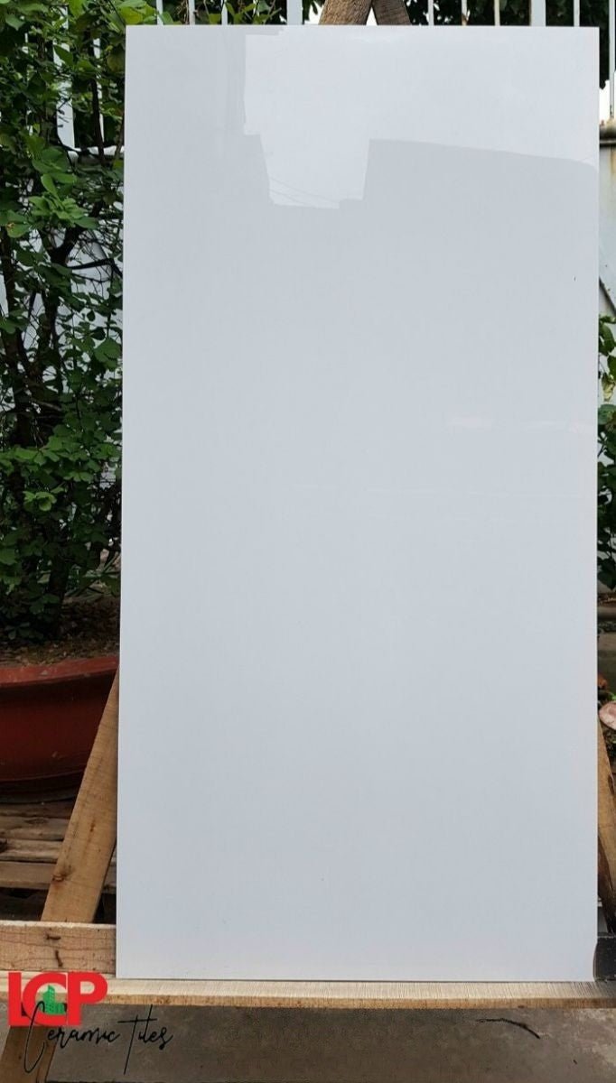 Gạch ốp lát Apodio 61181001 (Bóng) - Daisan Store