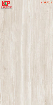 Gạch ốp lát Apodio 61185023 - Daisan Store