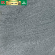 Gạch ốp lát Apodio 66112304 - Daisan Store