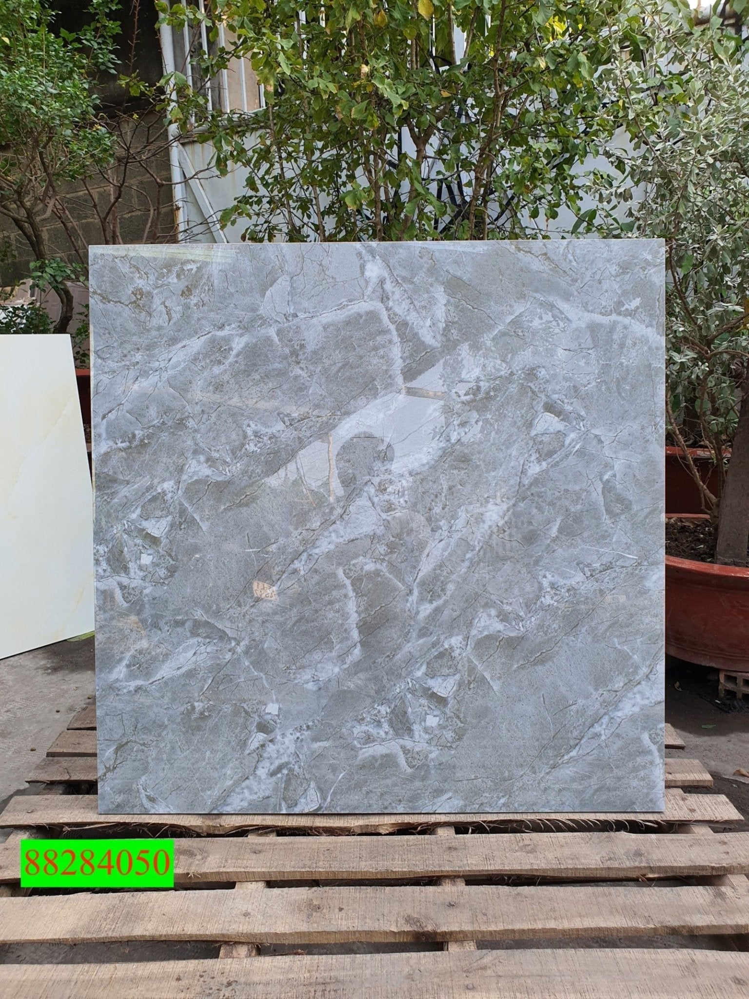 Gạch ốp lát Apodio 88284050 - Daisan Store