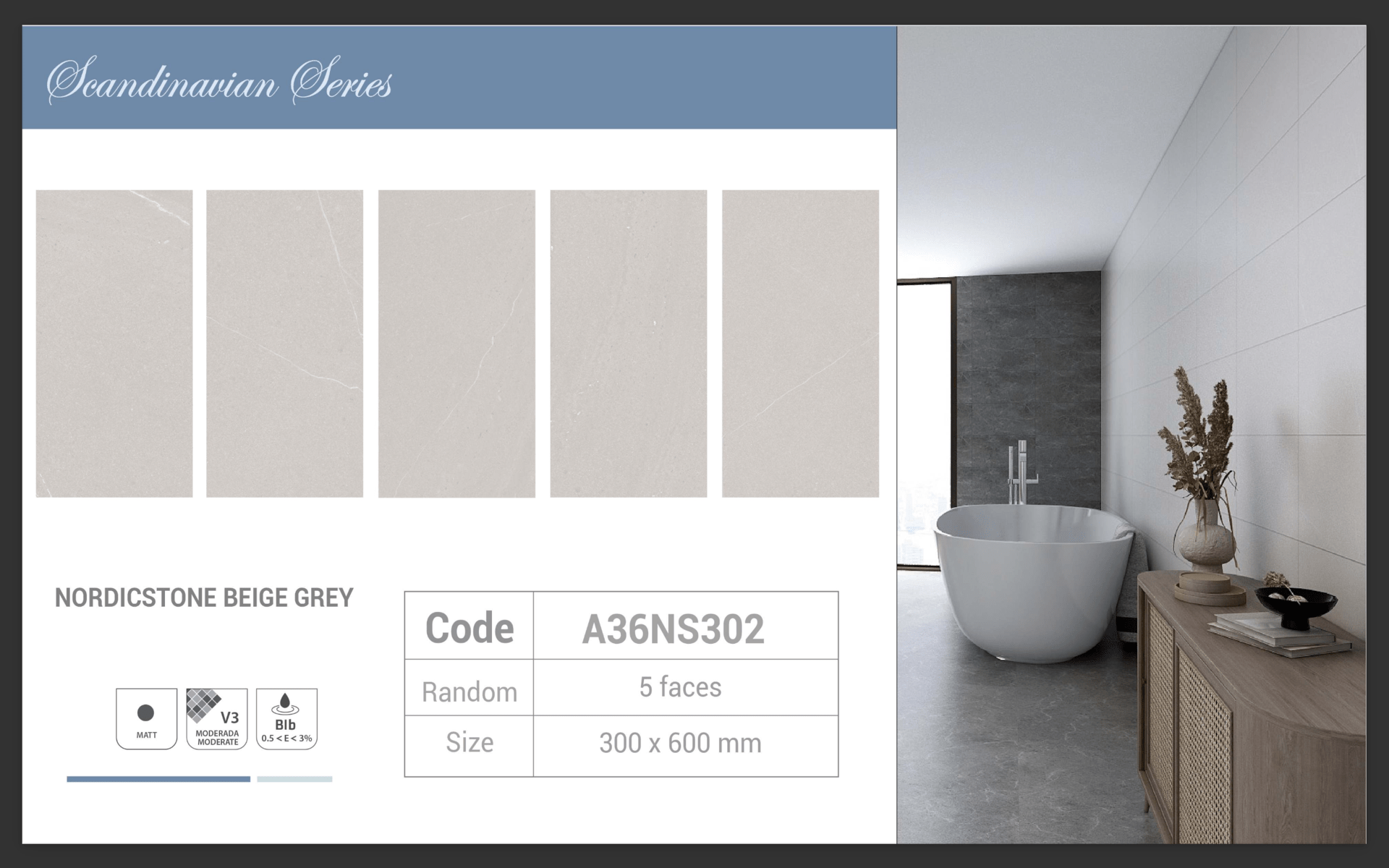 Gạch ốp lát Apodio A36NG302 (Matt) - Daisan Store