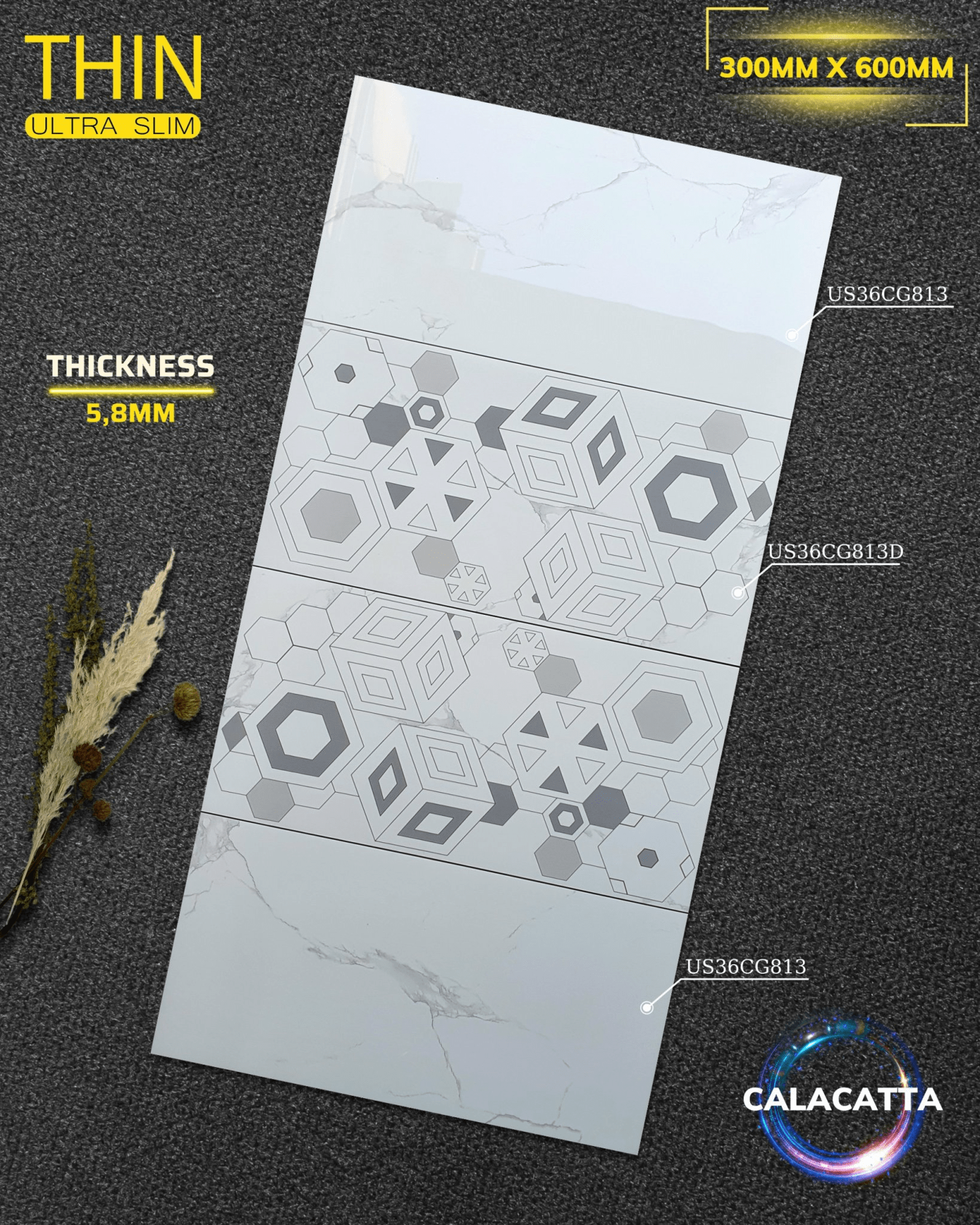 Gạch ốp lát Apodio CG813 CG813D (Bóng) - Daisan Store