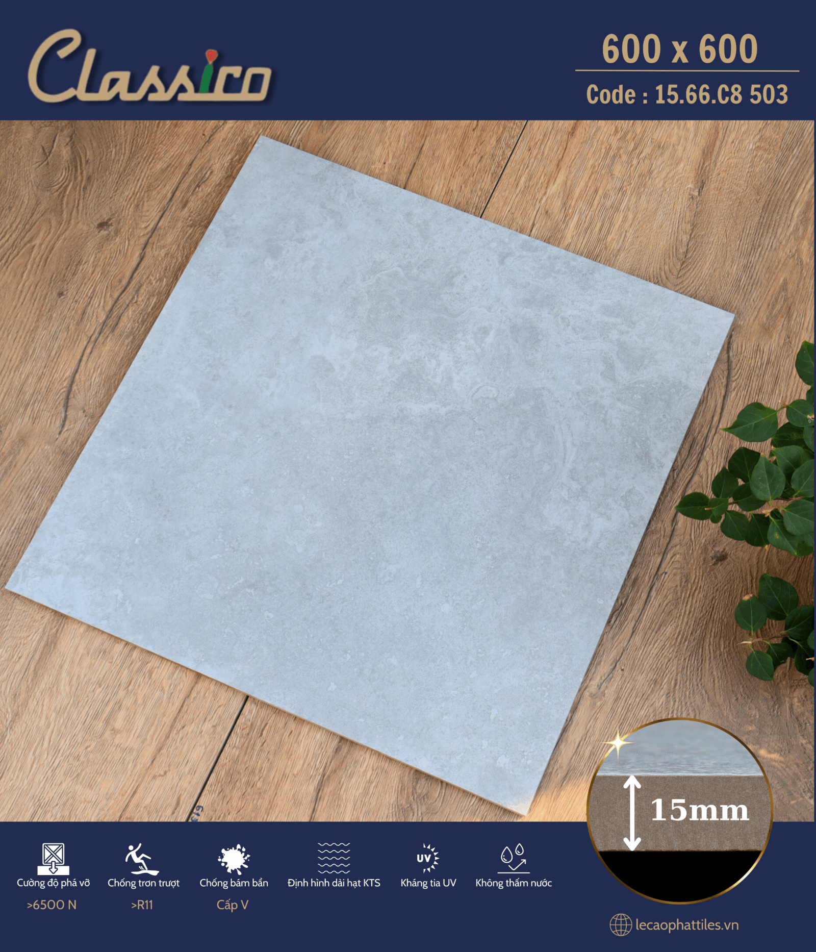 Gạch ốp lát Apodio CLASSICO 1566CB503 (Matt) (15mm) - Daisan Store