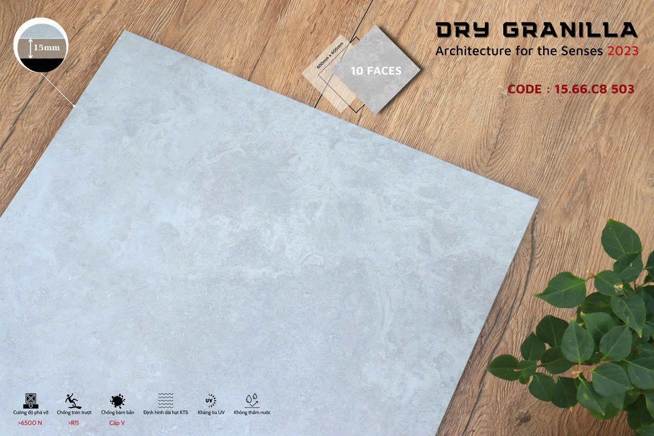 Gạch ốp lát Apodio CLASSICO 1566CB503 (Matt) (15mm) - Daisan Store