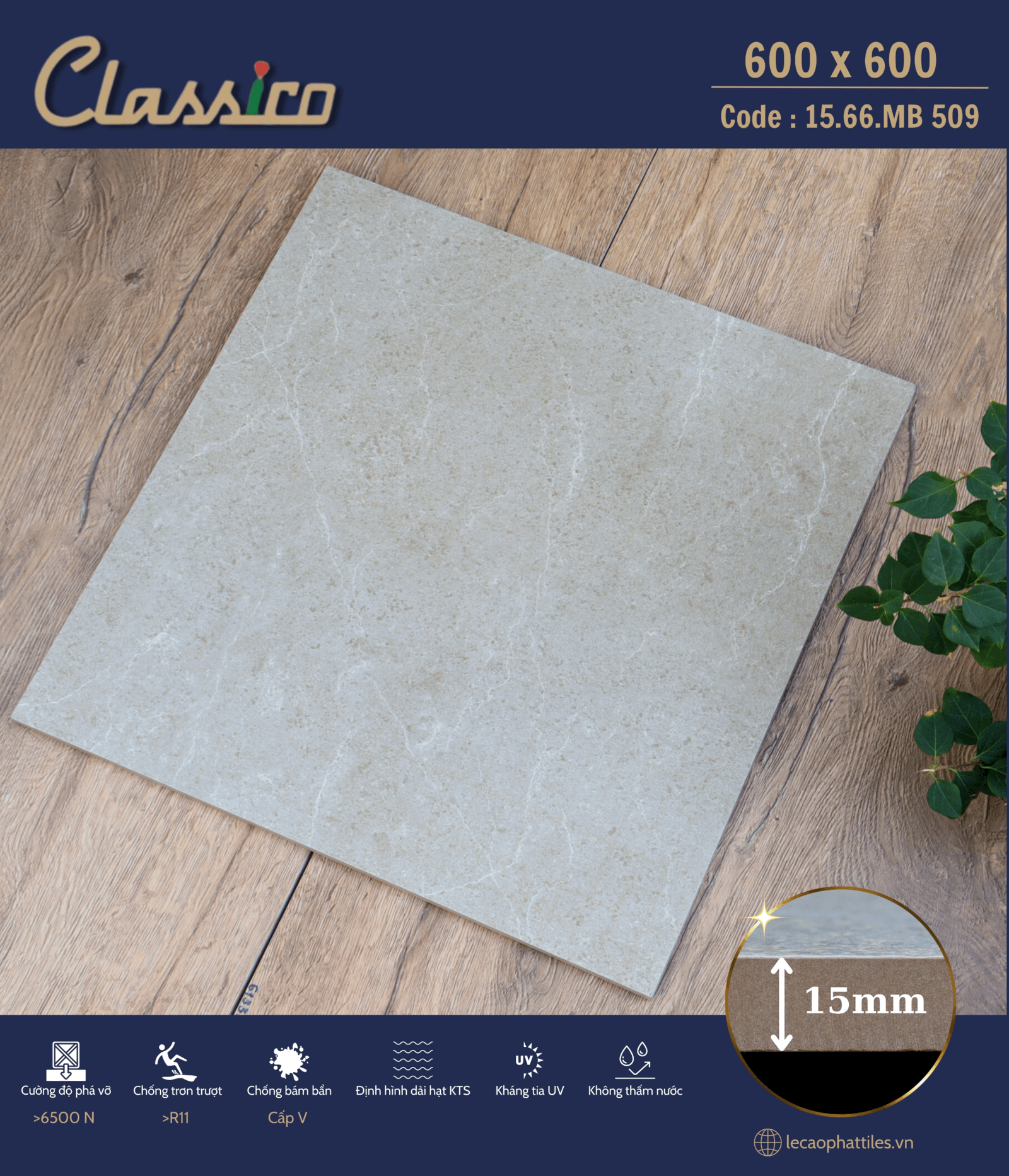 Gạch ốp lát Apodio CLASSICO 1566MB509 (Matt) (15mm) - Daisan Store