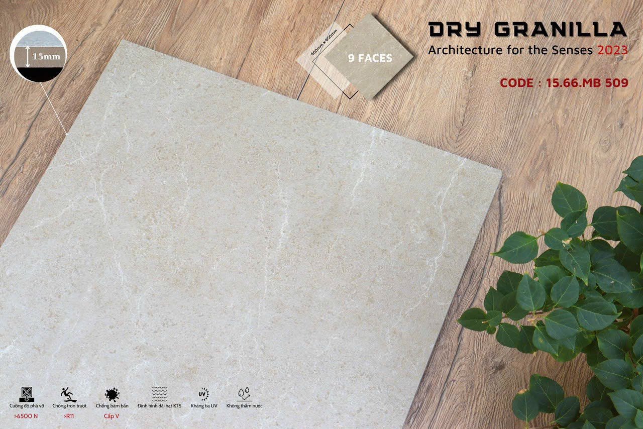 Gạch ốp lát Apodio CLASSICO 1566MB509 (Matt) (15mm) - Daisan Store