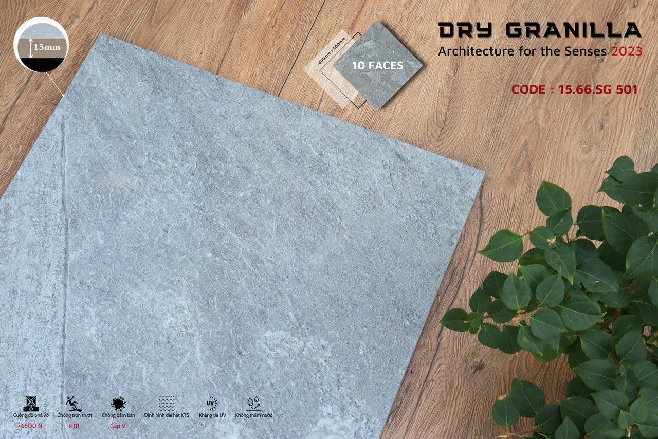 Gạch ốp lát Apodio CLASSICO 1566SG501 (Matt) (15mm) - Daisan Store