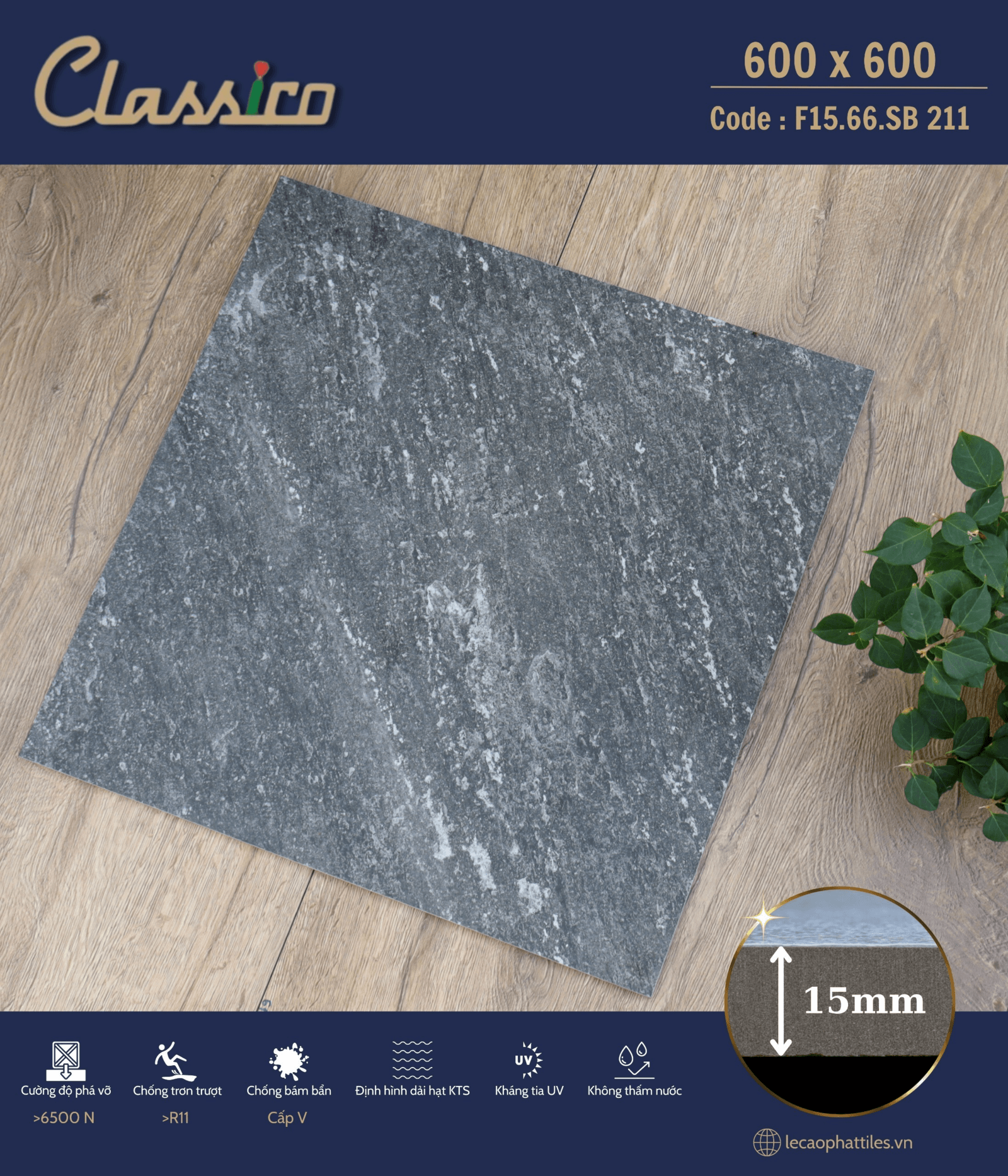 Gạch ốp lát Apodio CLASSICO F1566SB211 (Matt) (15mm) - Daisan Store