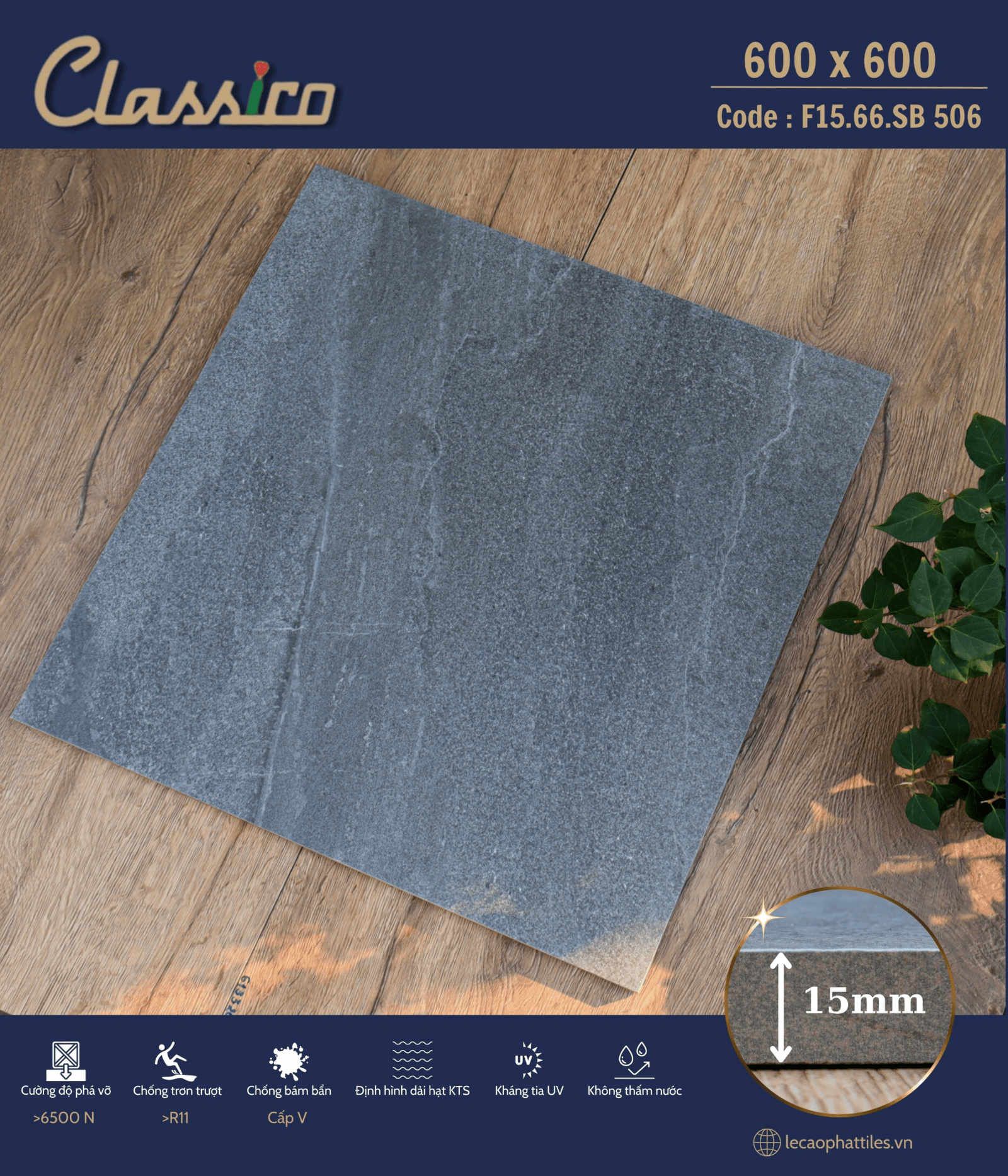 Gạch ốp lát Apodio CLASSICO F1566SB506 (Matt) (15mm) - Daisan Store