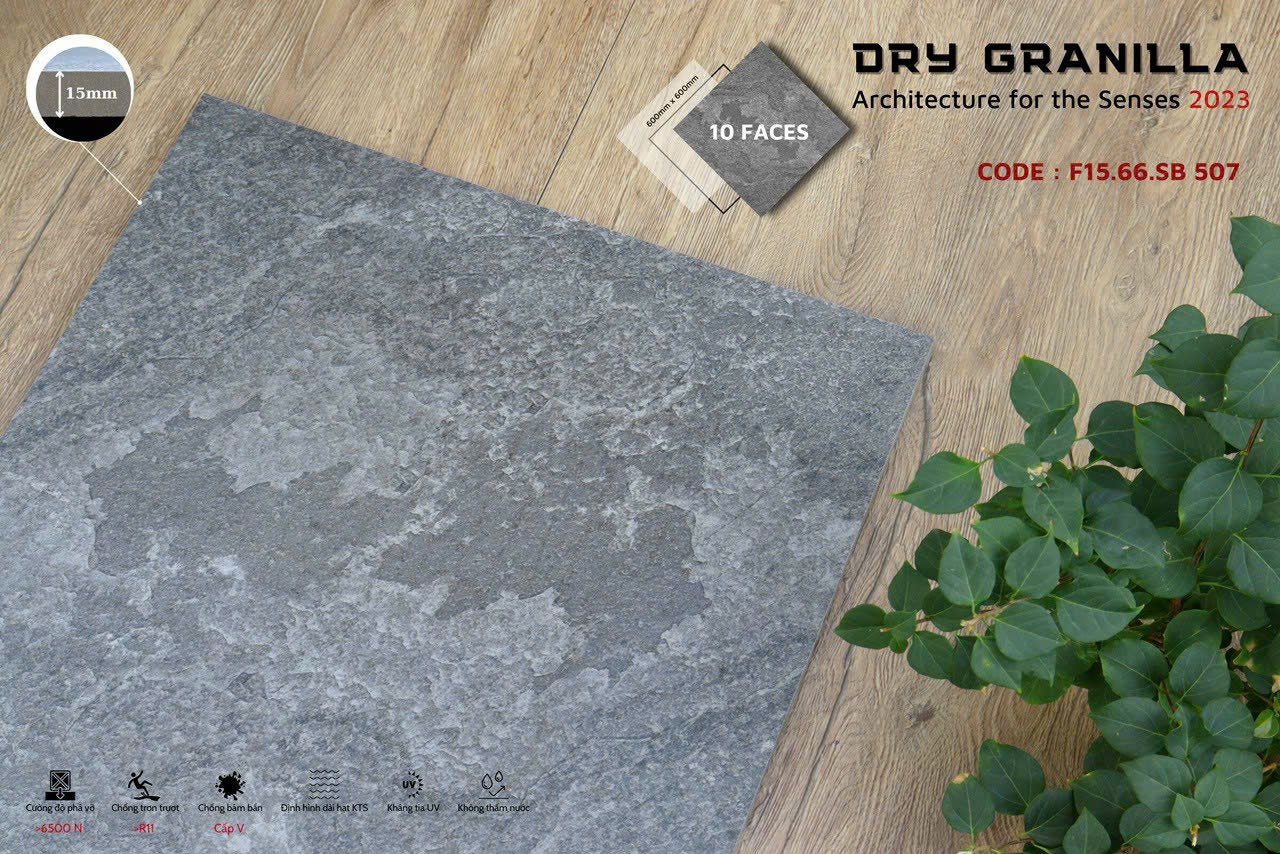 Gạch ốp lát Apodio CLASSICO F1566SB507 (Mờ) (15mm) - Daisan Store