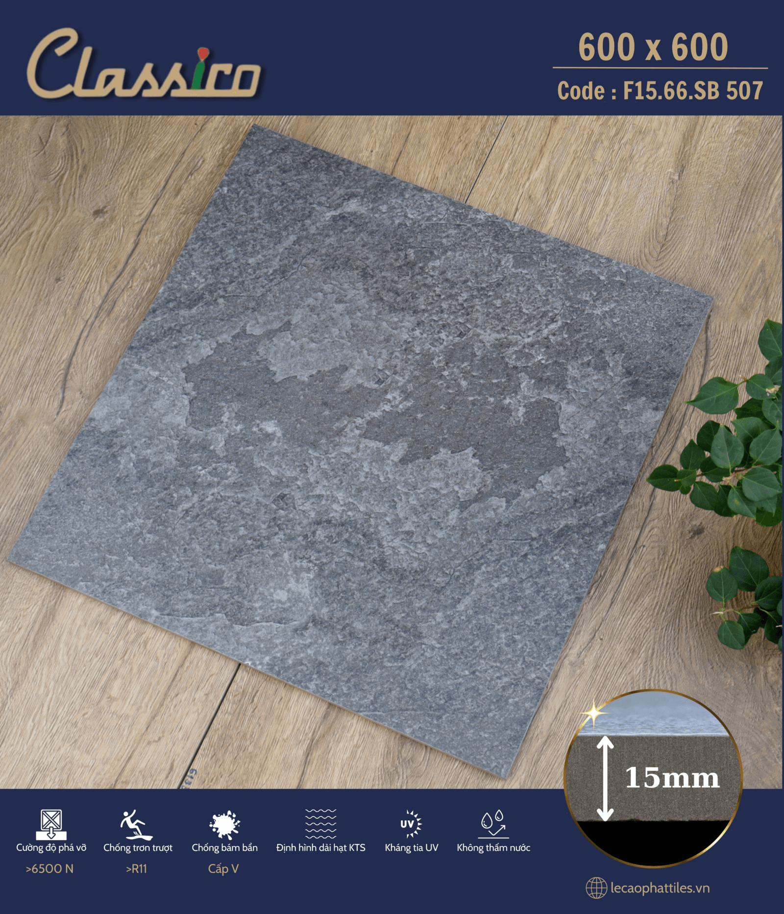 Gạch ốp lát Apodio CLASSICO F1566SB507 (Mờ) (15mm) - Daisan Store