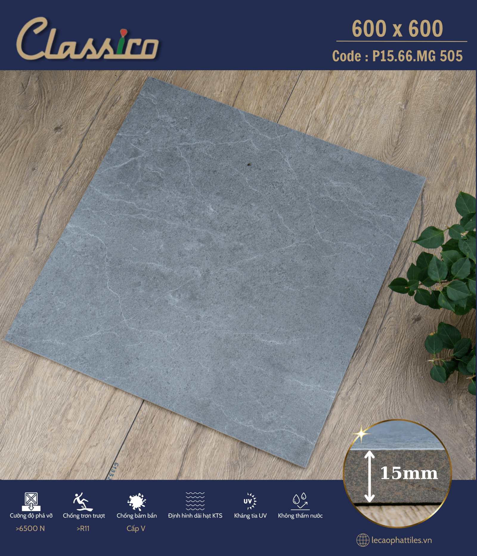 Gạch ốp lát Apodio CLASSICO P1566MG505 (Mờ) (15mm) - Daisan Store