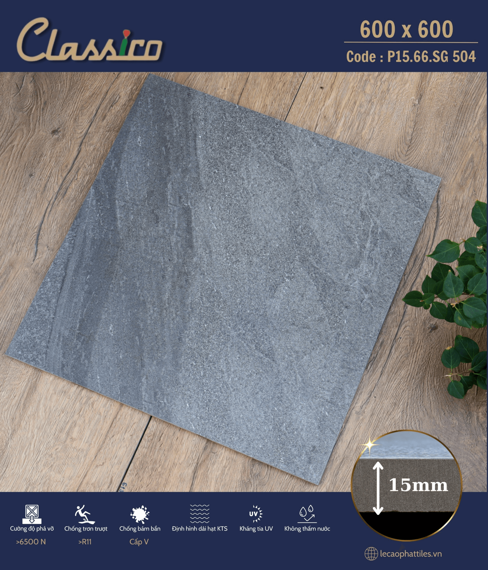 Gạch ốp lát Apodio CLASSICO P1566SG504 (Mờ) (15mm) - Daisan Store