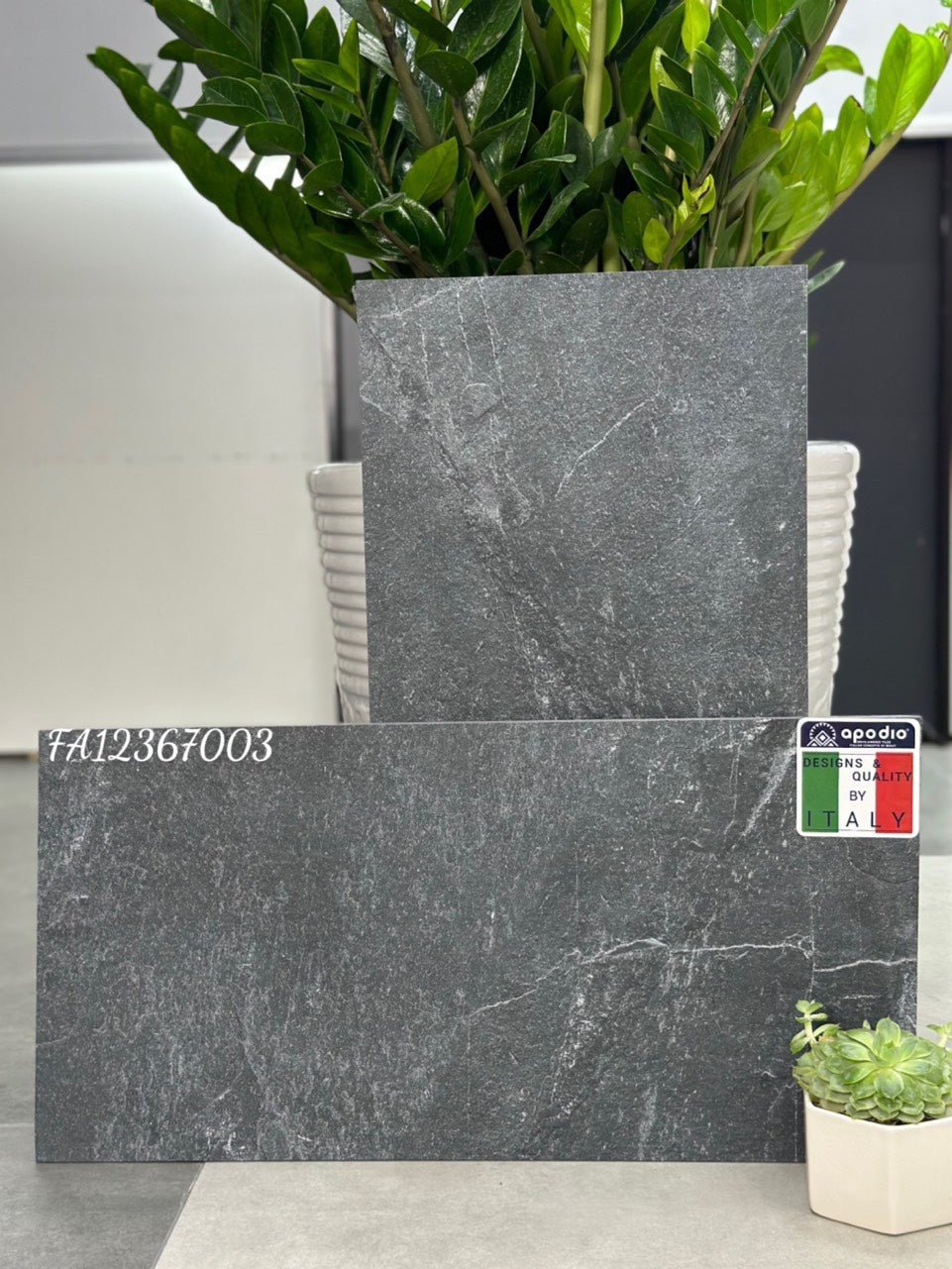 Gạch ốp lát Apodio FA12367003 (dày 12mm) - Daisan Store