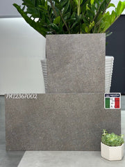 Gạch ốp lát Apodio PA12367002 (dày 12mm) - Daisan Store