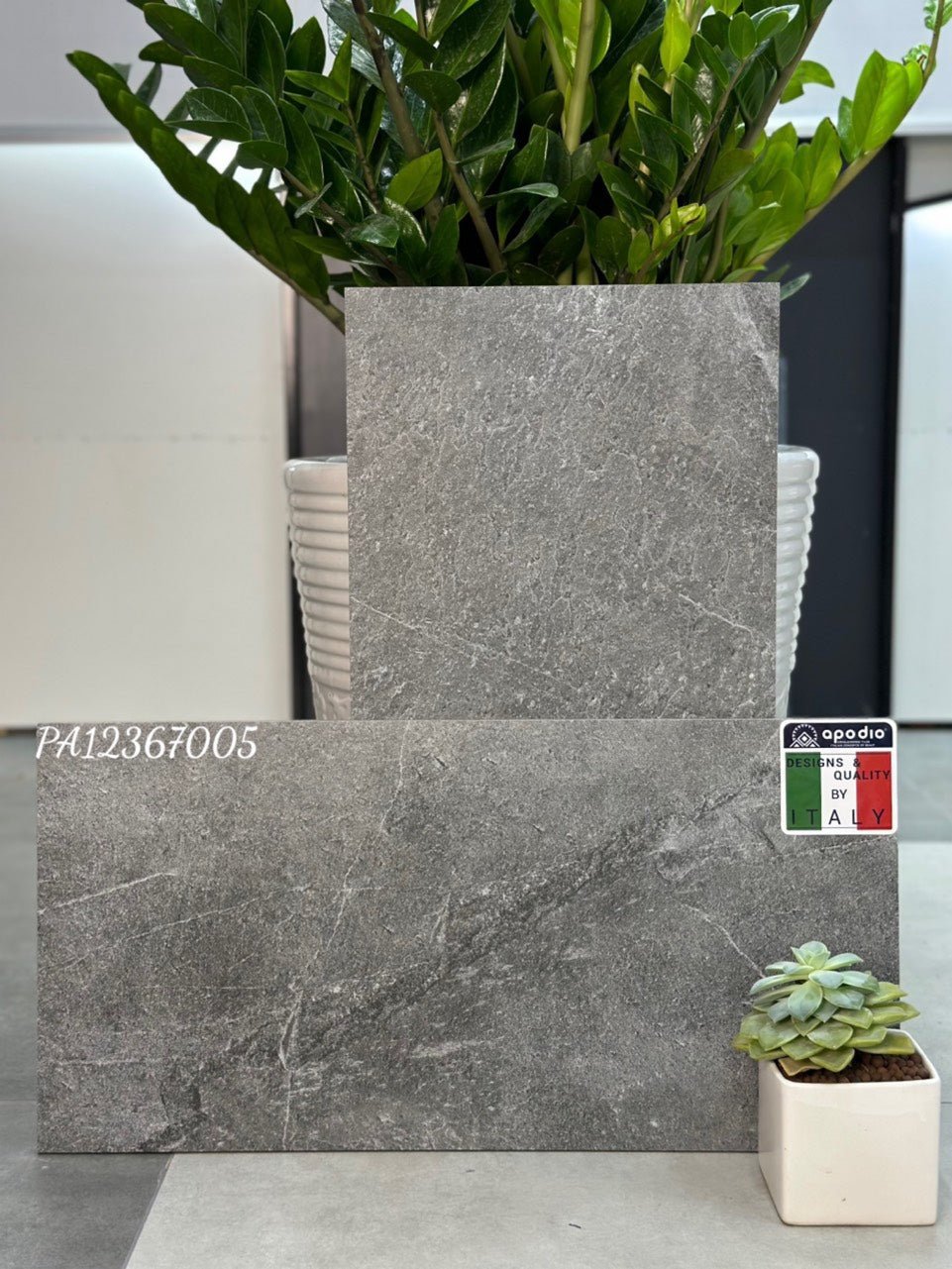 Gạch ốp lát Apodio PA12367005 (dày 12mm) - Daisan Store