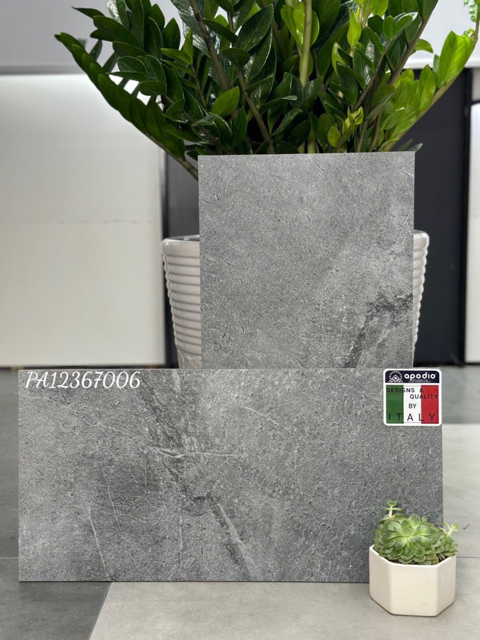 Gạch ốp lát Apodio PA12367006 (dày 12mm) - Daisan Store