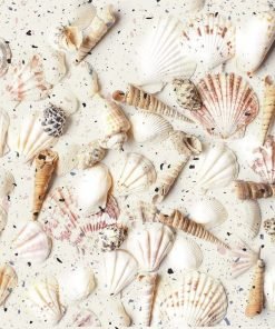 Gạch ốp lát bể bơi Đồng Tâm 20×20 màu nâu hình sò ốc 2020MARINA003 - Daisan Store