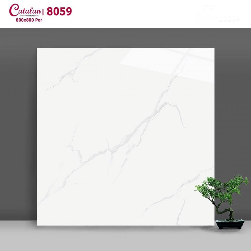 Gạch ốp lát Catalan vân khói 8059 - Daisan Store