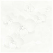 Gạch ốp lát Eleven 60×60 vân mây E6020 - Daisan Store