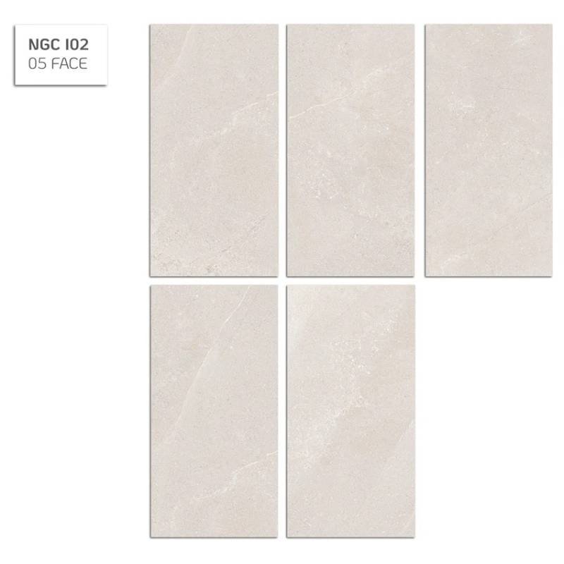 Gạch ốp lát Eurotile BST Nguyệt Cát 450*900mm NGC - I02 - Daisan Store