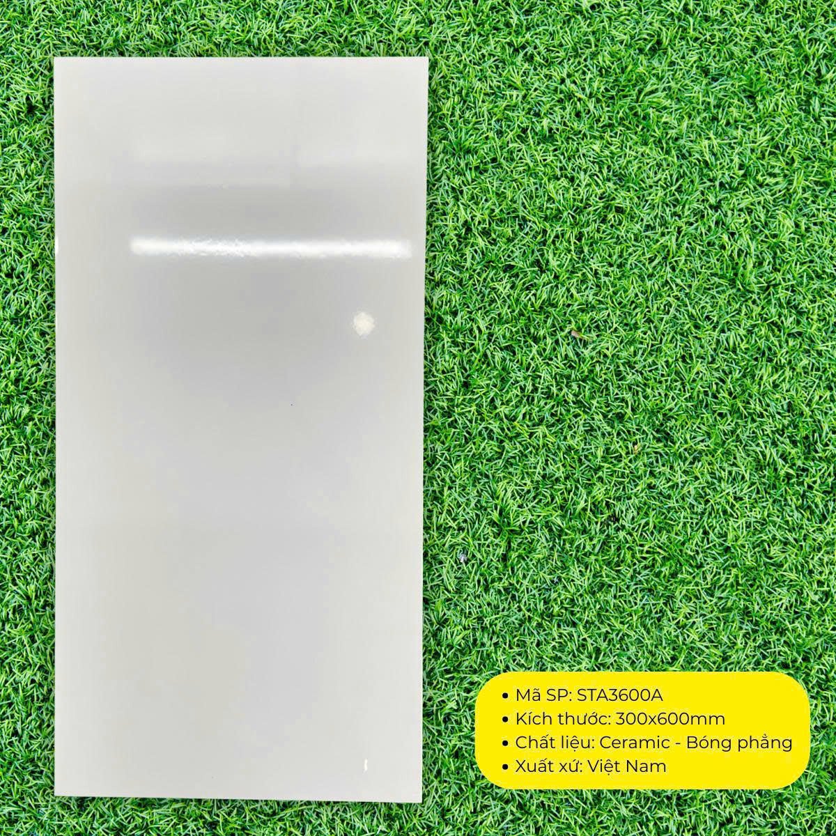 Gạch ốp tường Ceramic trắng Bóng KT 300x600mm mã STA6300A (1h/1.44m/8v) - Daisan Store
