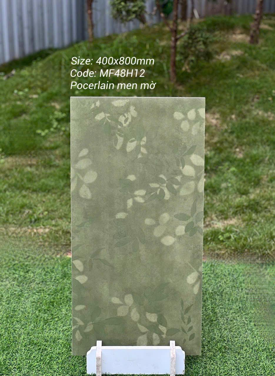 Gạch ốp tường họa tiết hoa 40x80cm mã MF48H12 - Daisan Store