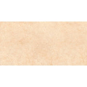 Gạch ốp tường men nhám Prime 300*600mm 05.300600.08638 - Daisan Store