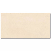 Gạch ốp tường Viglacera 30×60 UM3605 - Daisan Store