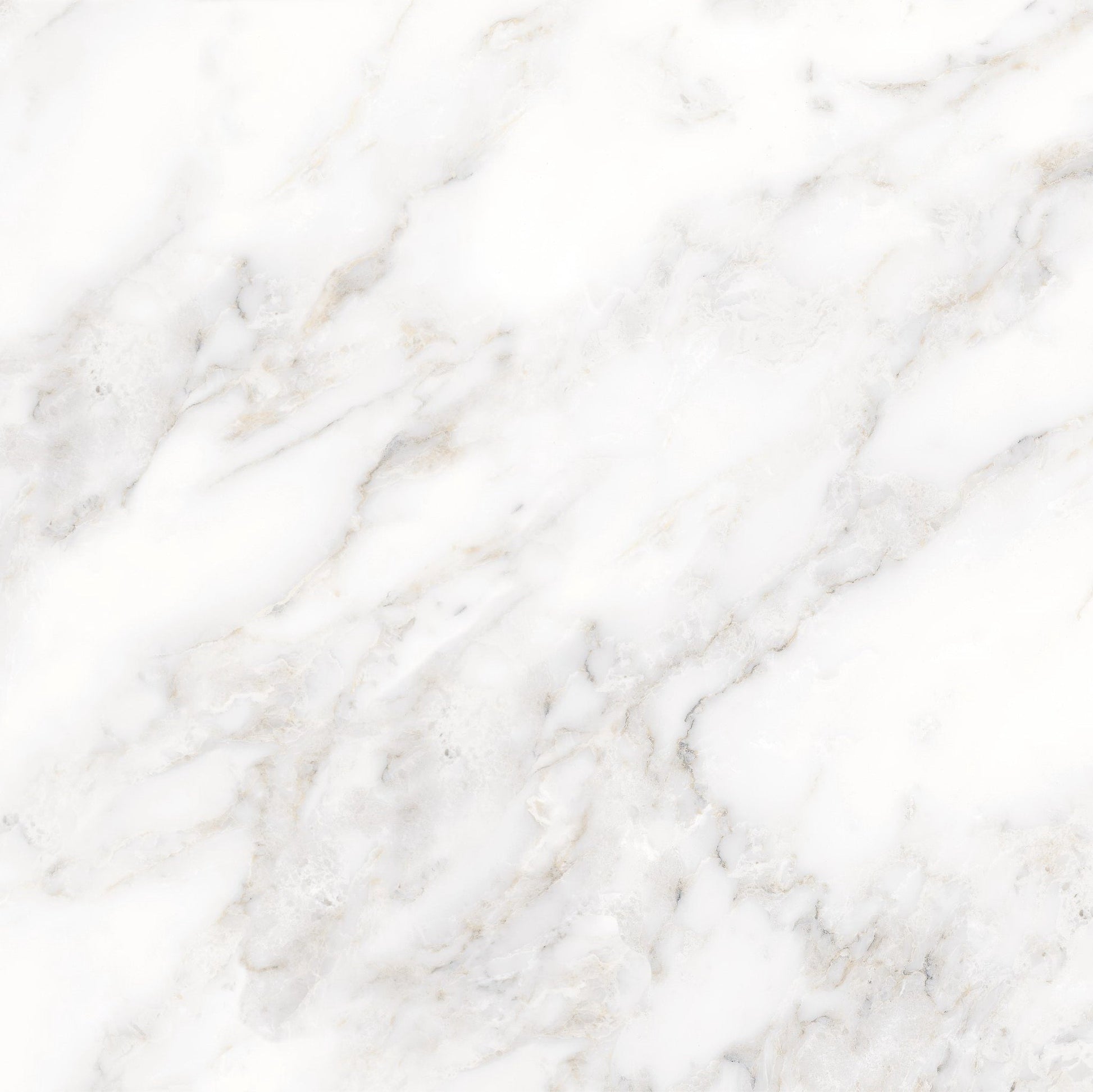 GẠCH PORCELAIN PRIME 80×80 MÃ 8174 BÓNG - Daisan Store