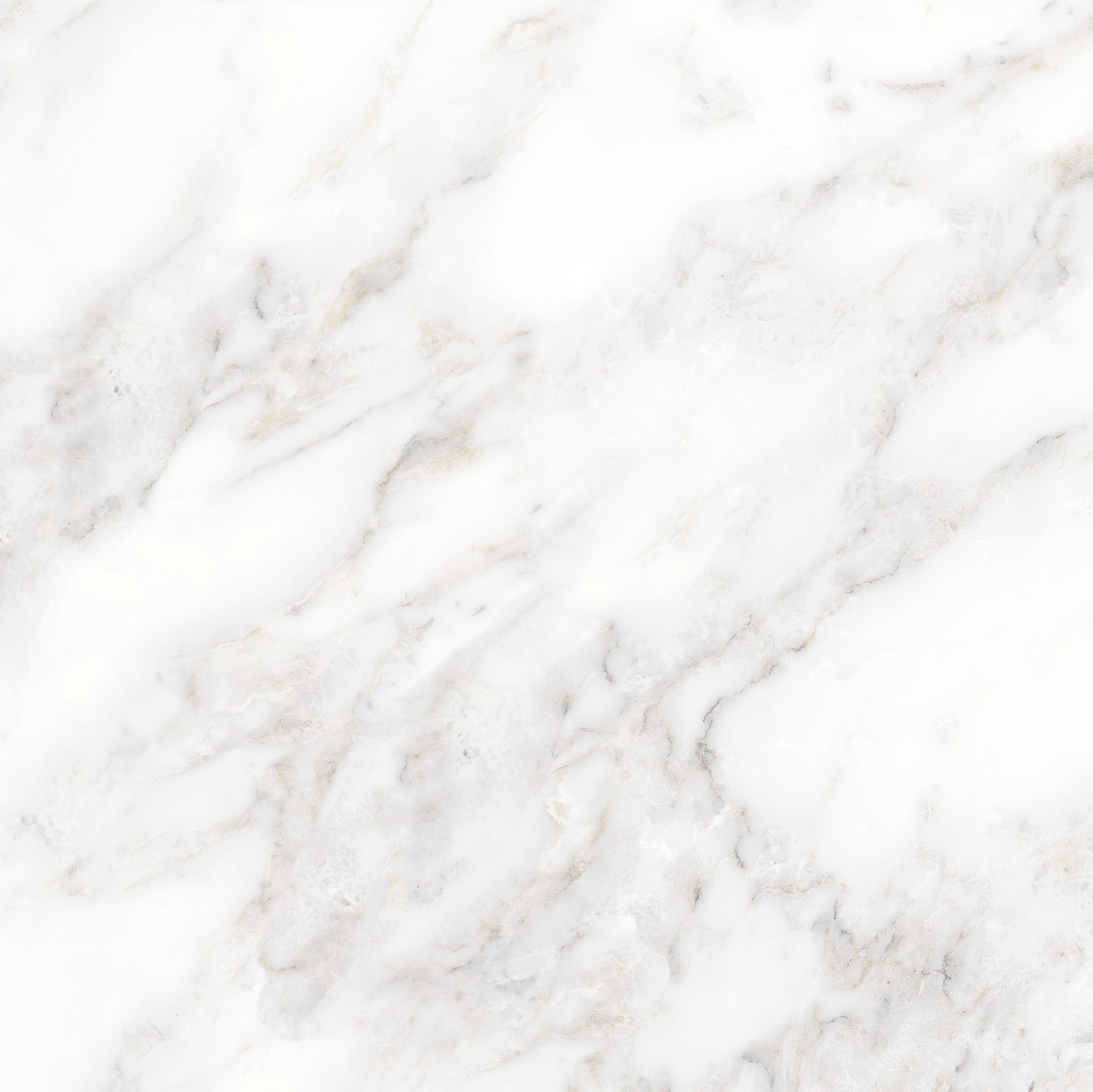 GẠCH PORCELAIN PRIME 80×80 MÃ 8174 BÓNG - Daisan Store