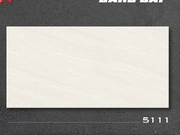 Gạch Tasa 30x60 Men Matt 5111 - Daisan Store