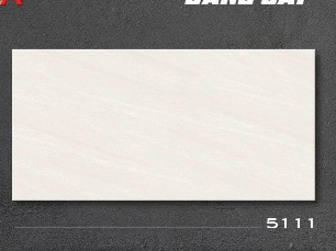 Gạch Tasa 30x60 Men Matt 5111 - Daisan Store