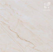 Gạch Tây Ban Nha V6601 - Daisan Store