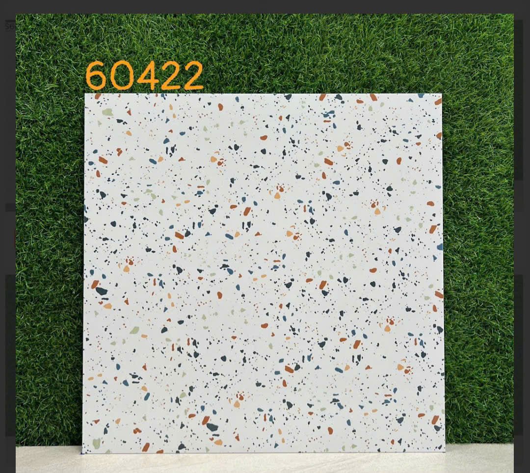 Gạch terazo HPR 60422 KT 60x60 - Daisan Store