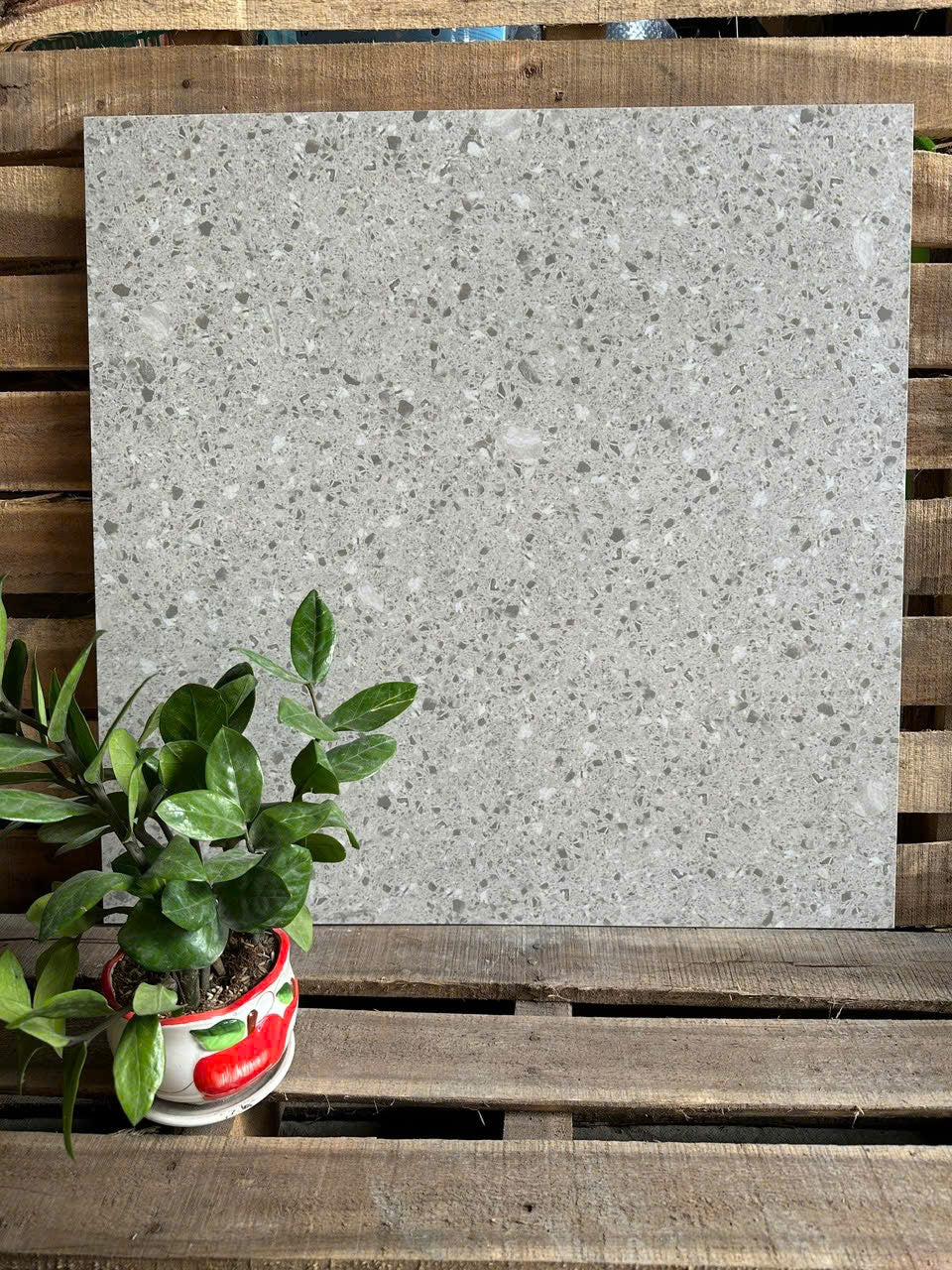 Gạch terazo Xám KS60423 KT 60x60 - Daisan Store