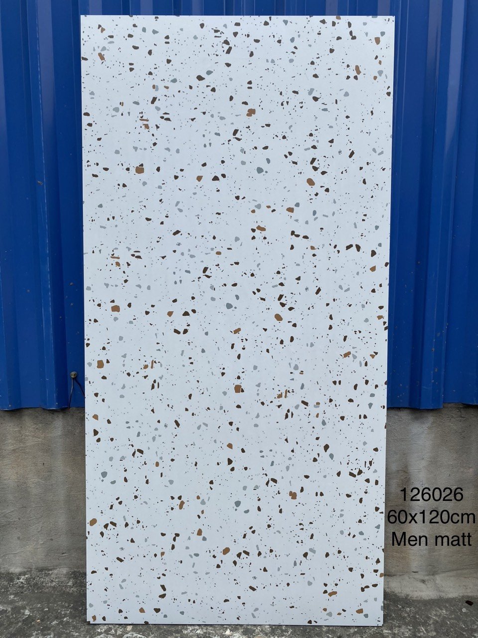 Gạch terrazzo 60x120 mã 126026 - Daisan Store