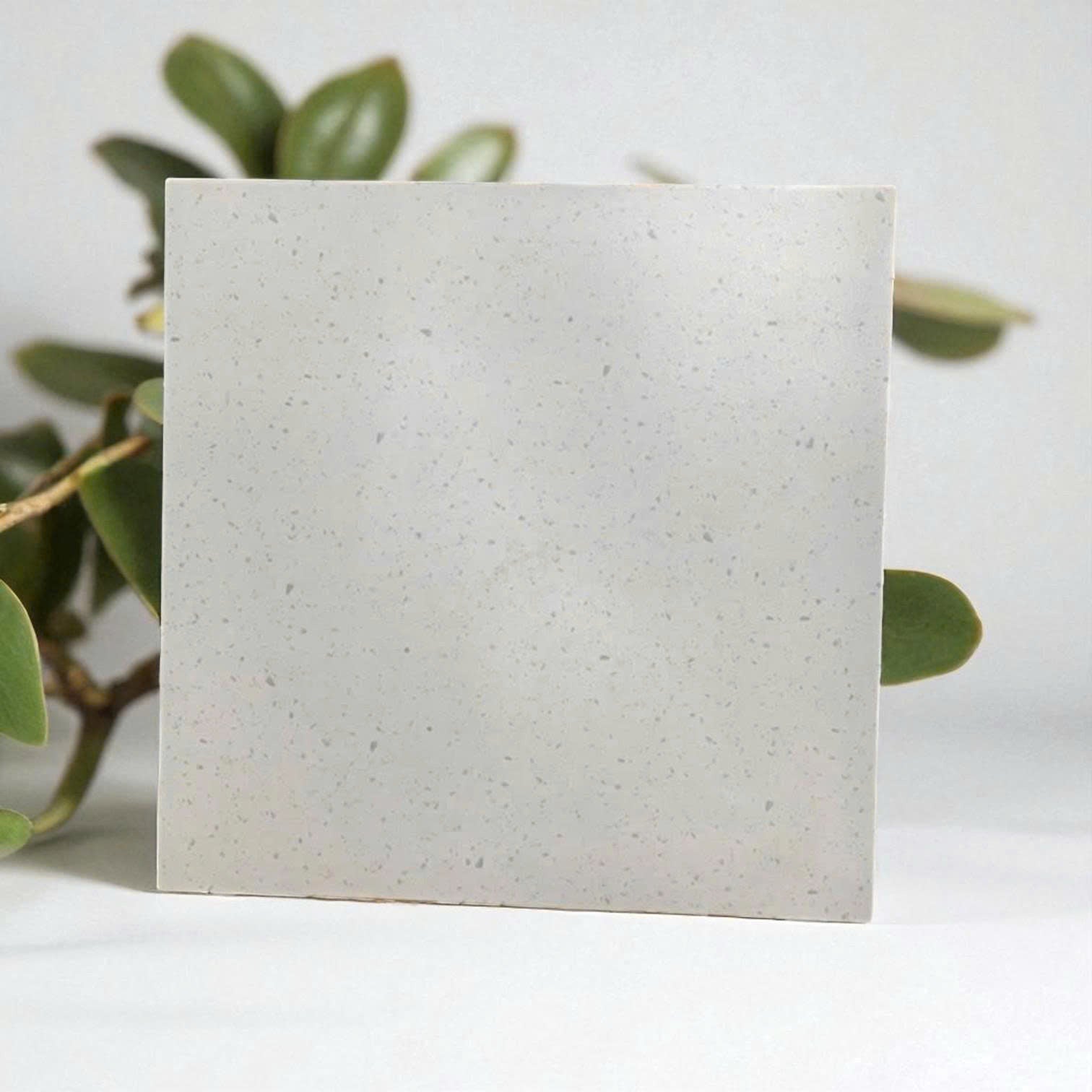 Gạch Terrazzo 80x80 88A21 - Daisan Store