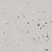 Gạch Terrazzo IC6619 - Daisan Store